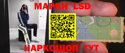 apvp Канаш