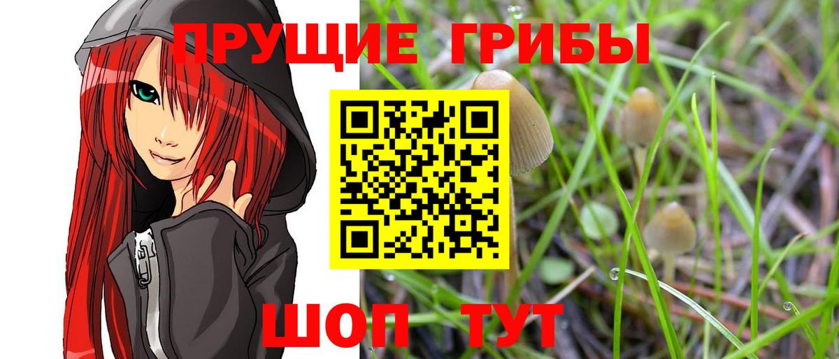 Псилоцибиновые грибы прущие грибы Чехов