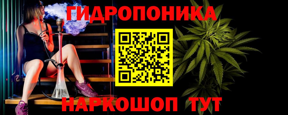 Бошки Шишки VHQ  Каннабис индика  Каннабис White Widow  Чехов  Вход с VPN 